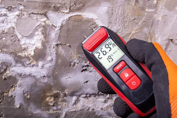 Best Mold Removal Process  in San Antonio, TX