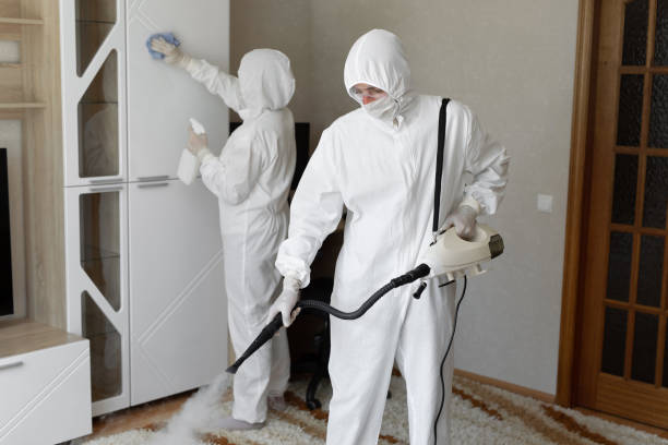 Best Commercial Mold Removal  in San Antonio, TX