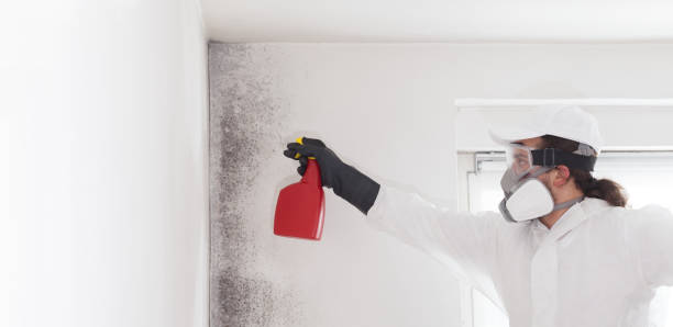 Crawl Space Mold Removal in San Antonio, TX