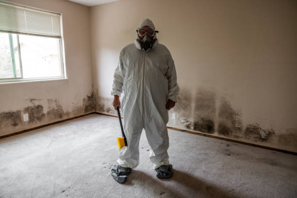 Best Crawl Space Mold Removal  in San Antonio, TX