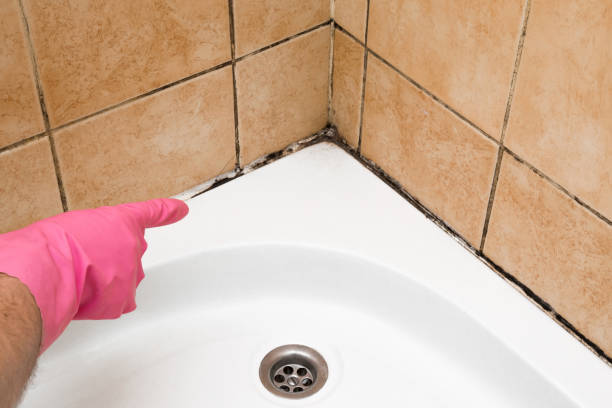  San Antonio, TX Mold Removal Pros